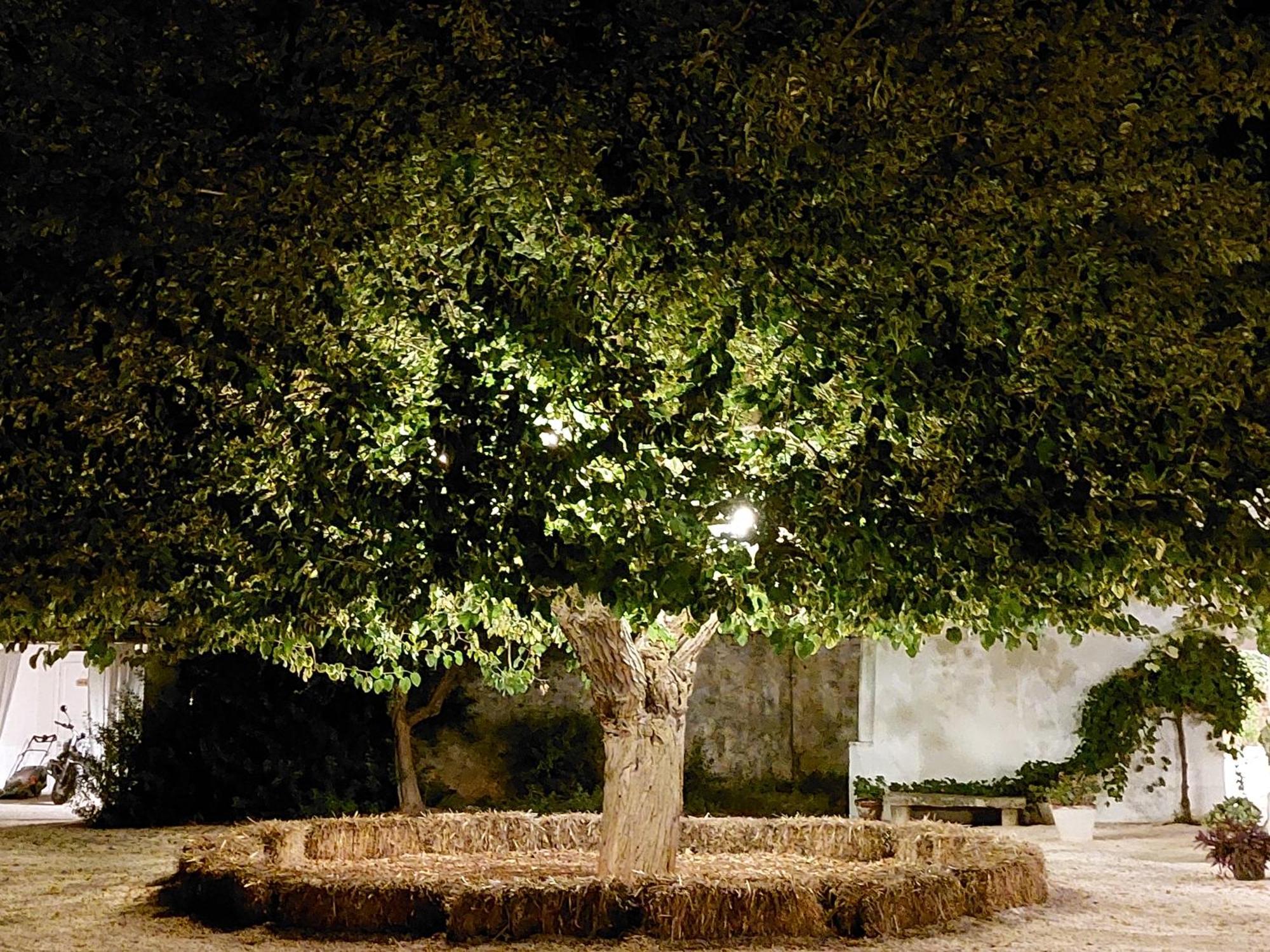 Masseria San Martino Polignano a Mare Extérieur photo
