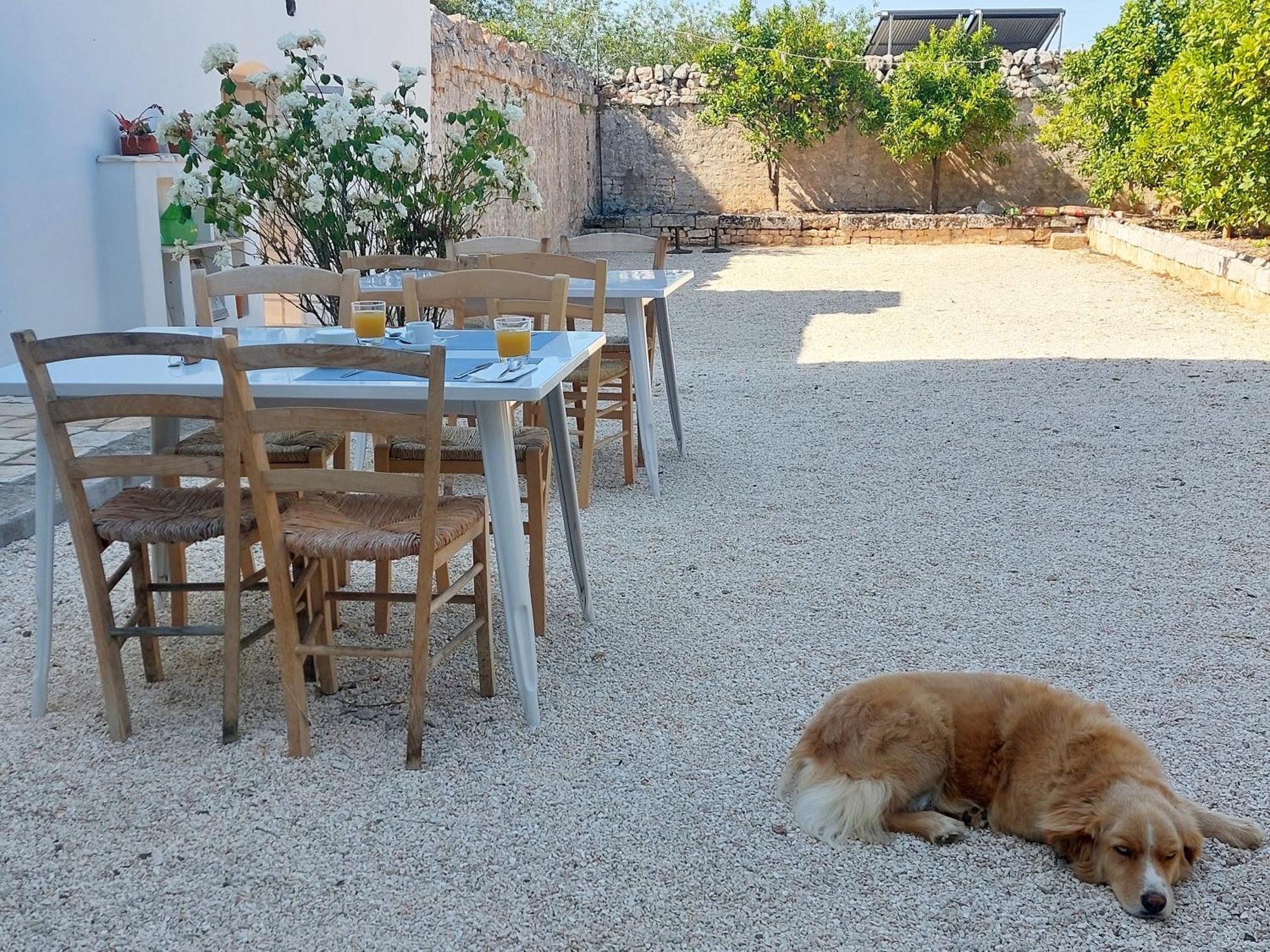 Masseria San Martino Polignano a Mare Extérieur photo
